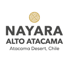 Nayara Logo